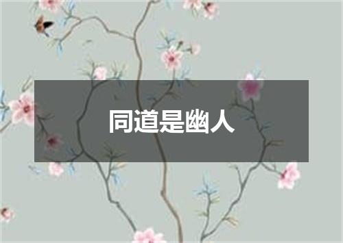同道是幽人
