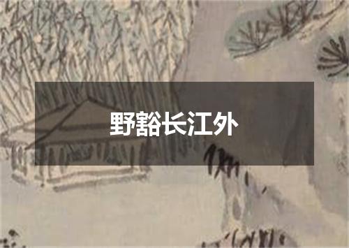 野豁长江外