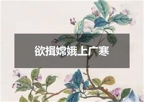欲揖嫦娥上广寒