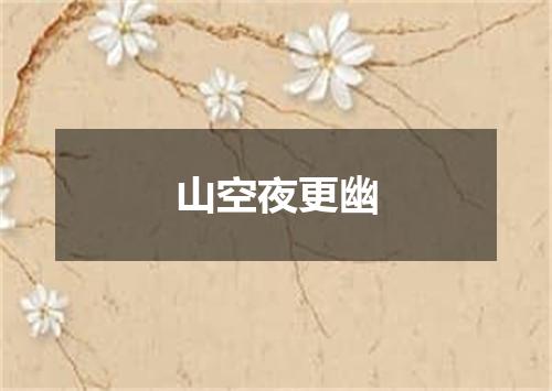 山空夜更幽