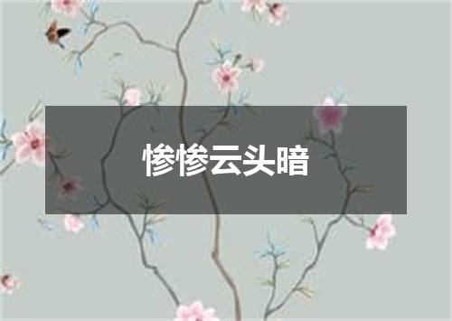 惨惨云头暗