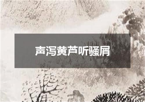 声泻黄芦听骚屑