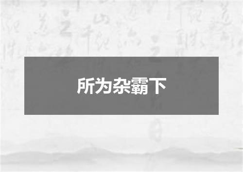 所为杂霸下