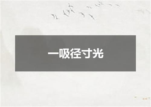 一吸径寸光
