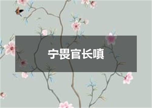 宁畏官长嗔