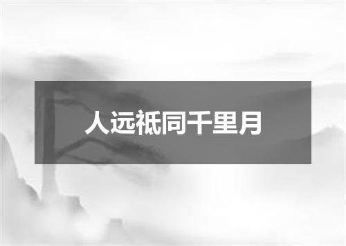 人远祗同千里月