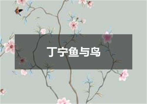 丁宁鱼与鸟