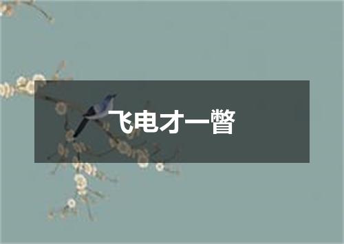飞电才一瞥