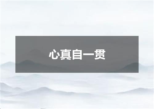 心真自一贯