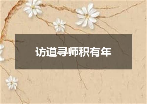 访道寻师积有年
