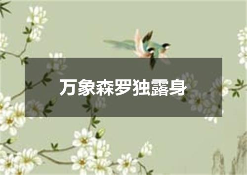 万象森罗独露身