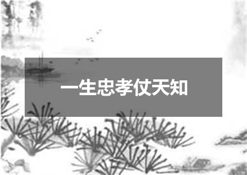 一生忠孝仗天知