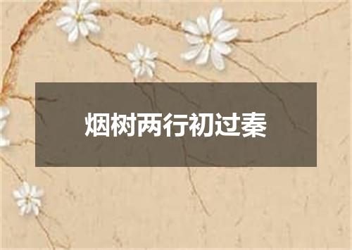 烟树两行初过秦