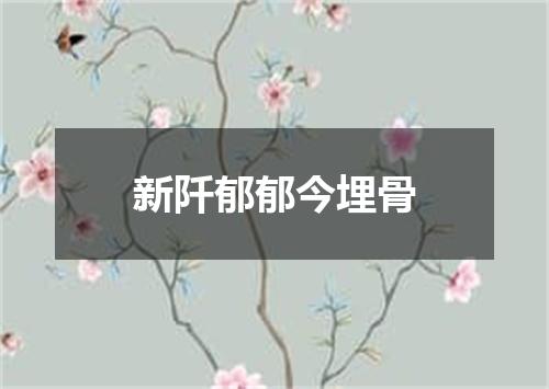 新阡郁郁今埋骨