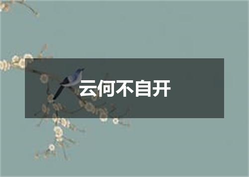 云何不自开