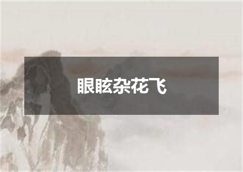 眼眩杂花飞