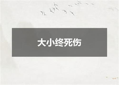 大小终死伤