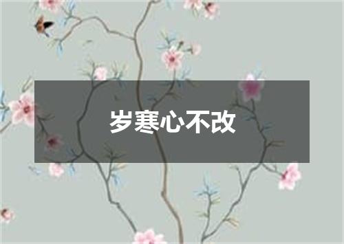 岁寒心不改