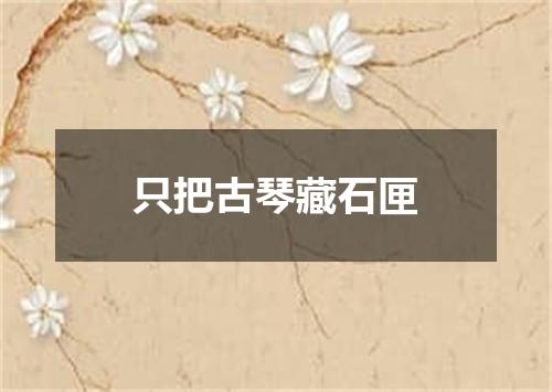 只把古琴藏石匣