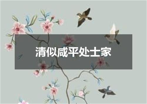 清似咸平处士家