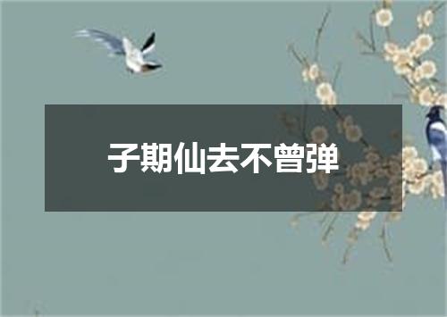 子期仙去不曾弹