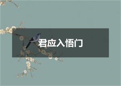 君应入悟门
