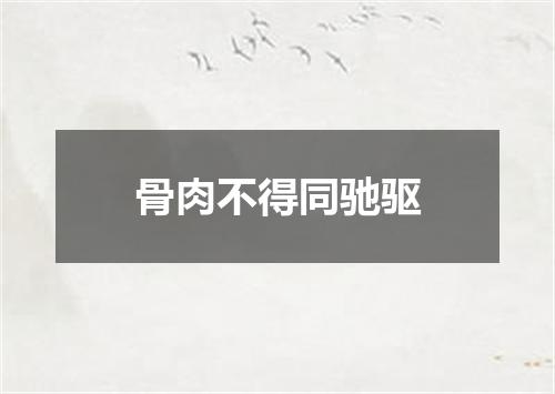 骨肉不得同驰驱