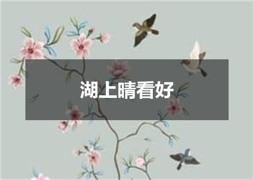 湖上晴看好