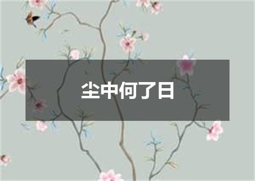 尘中何了日