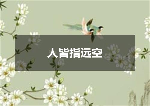 人皆指远空