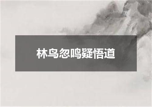 林鸟忽鸣疑悟道