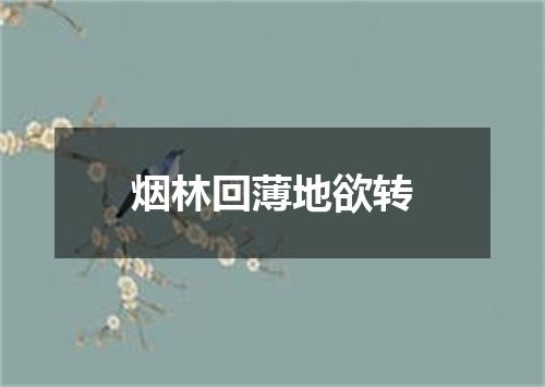 烟林回薄地欲转