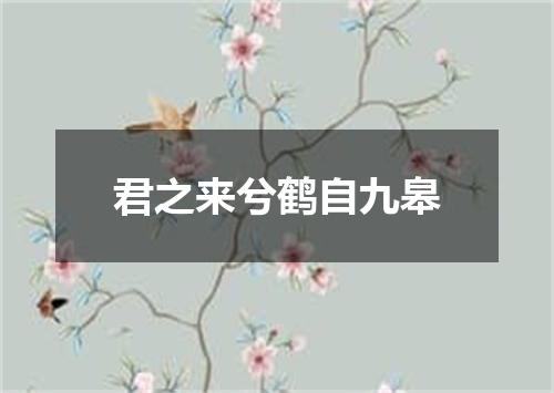 君之来兮鹤自九皋