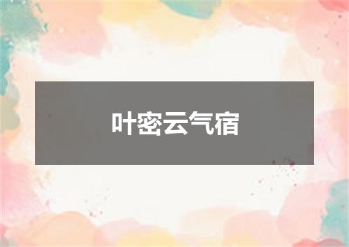 叶密云气宿