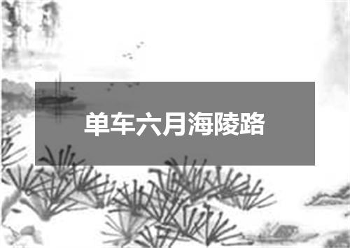 单车六月海陵路