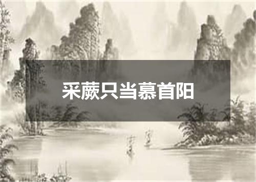 采蕨只当慕首阳