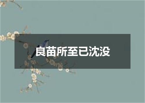 良苗所至已沈没