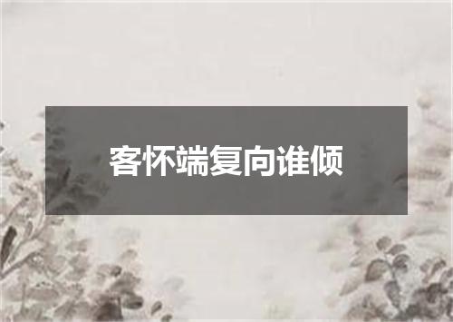 客怀端复向谁倾