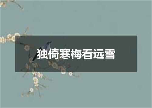 独倚寒梅看远雪