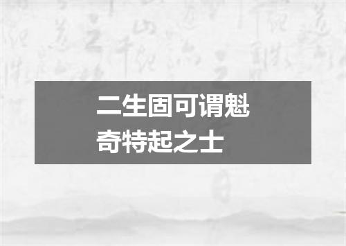 二生固可谓魁奇特起之士