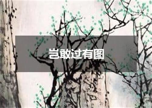 岂敢过有图