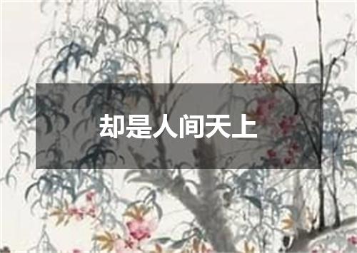 却是人间天上