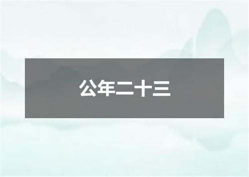公年二十三