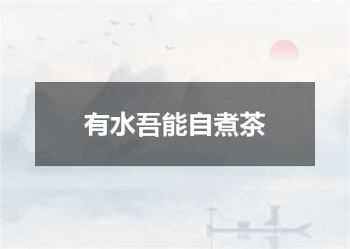 有水吾能自煮茶