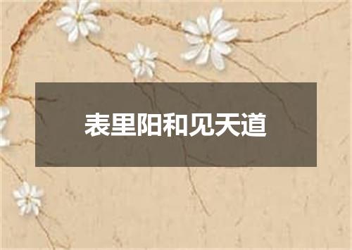 表里阳和见天道