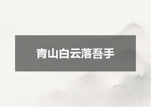 青山白云落吾手