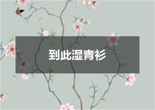 到此湿青衫