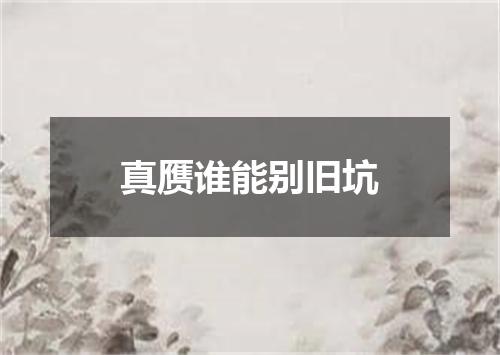 真赝谁能别旧坑