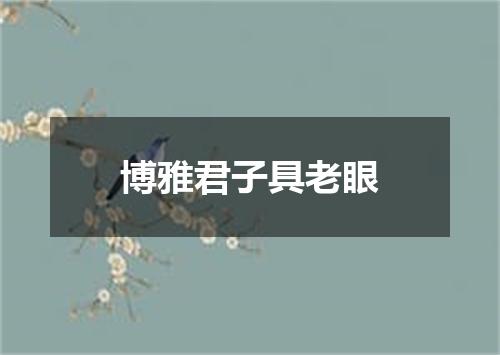博雅君子具老眼