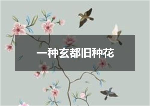 一种玄都旧种花